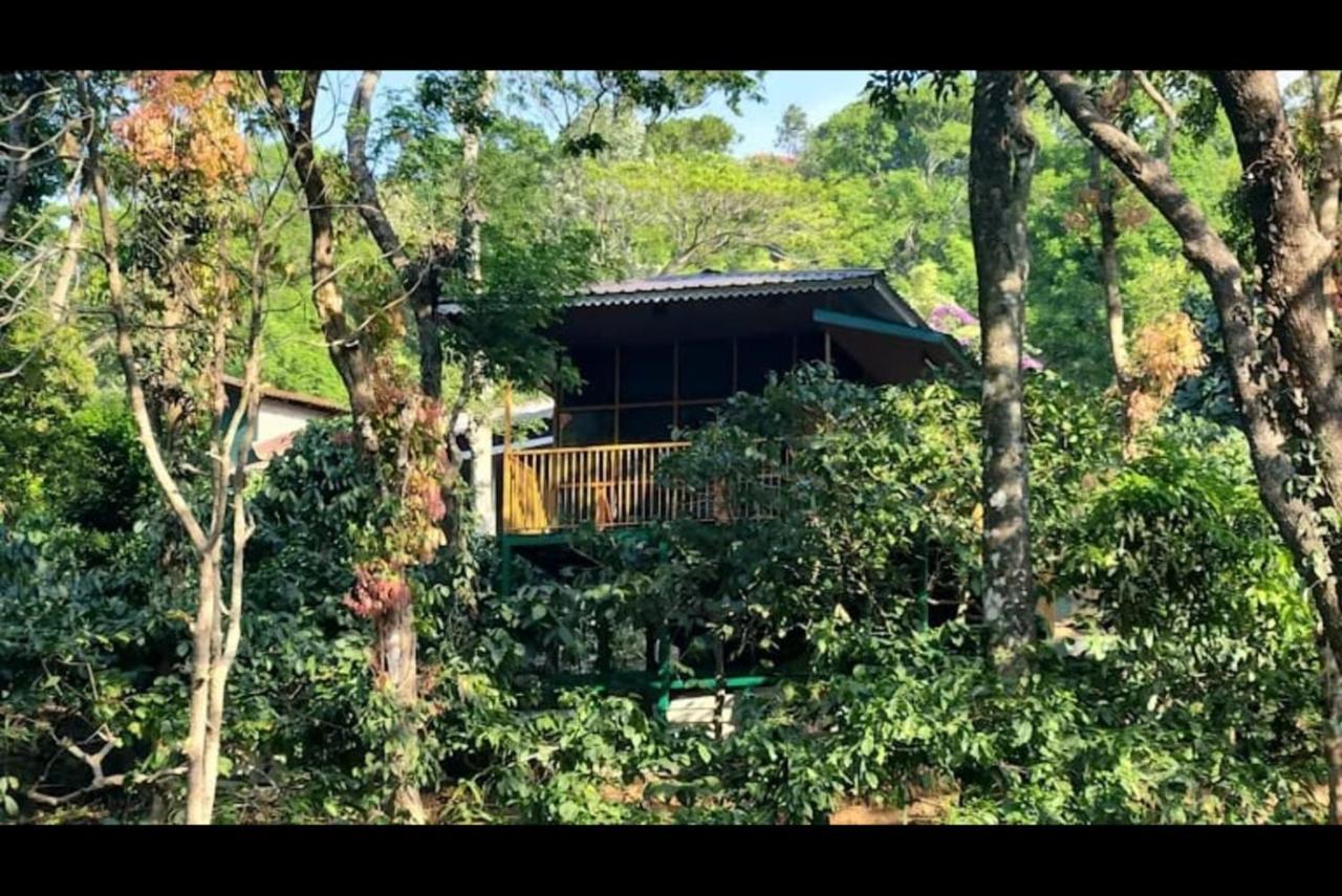 Hill Valley Farm House Nelliyampathy 外观 照片