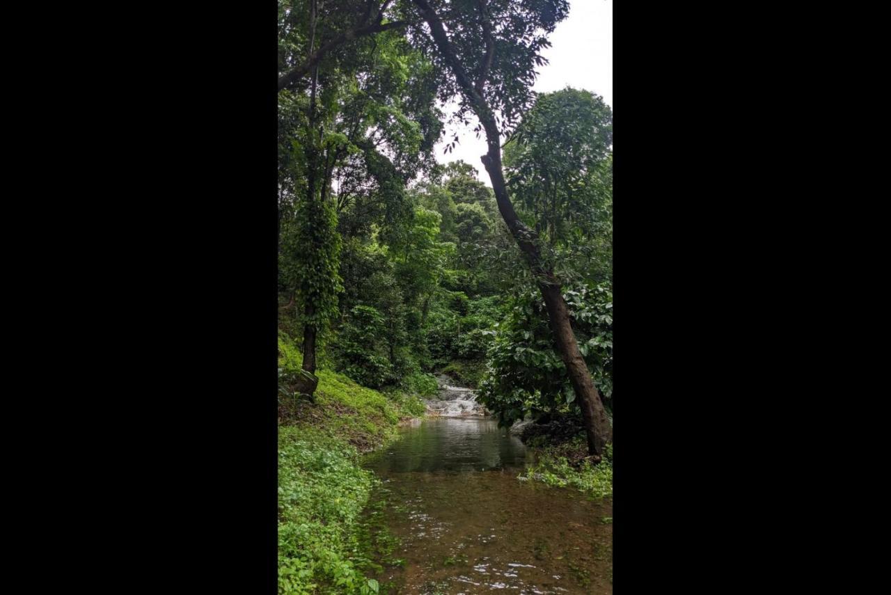 Hill Valley Farm House Nelliyampathy 外观 照片