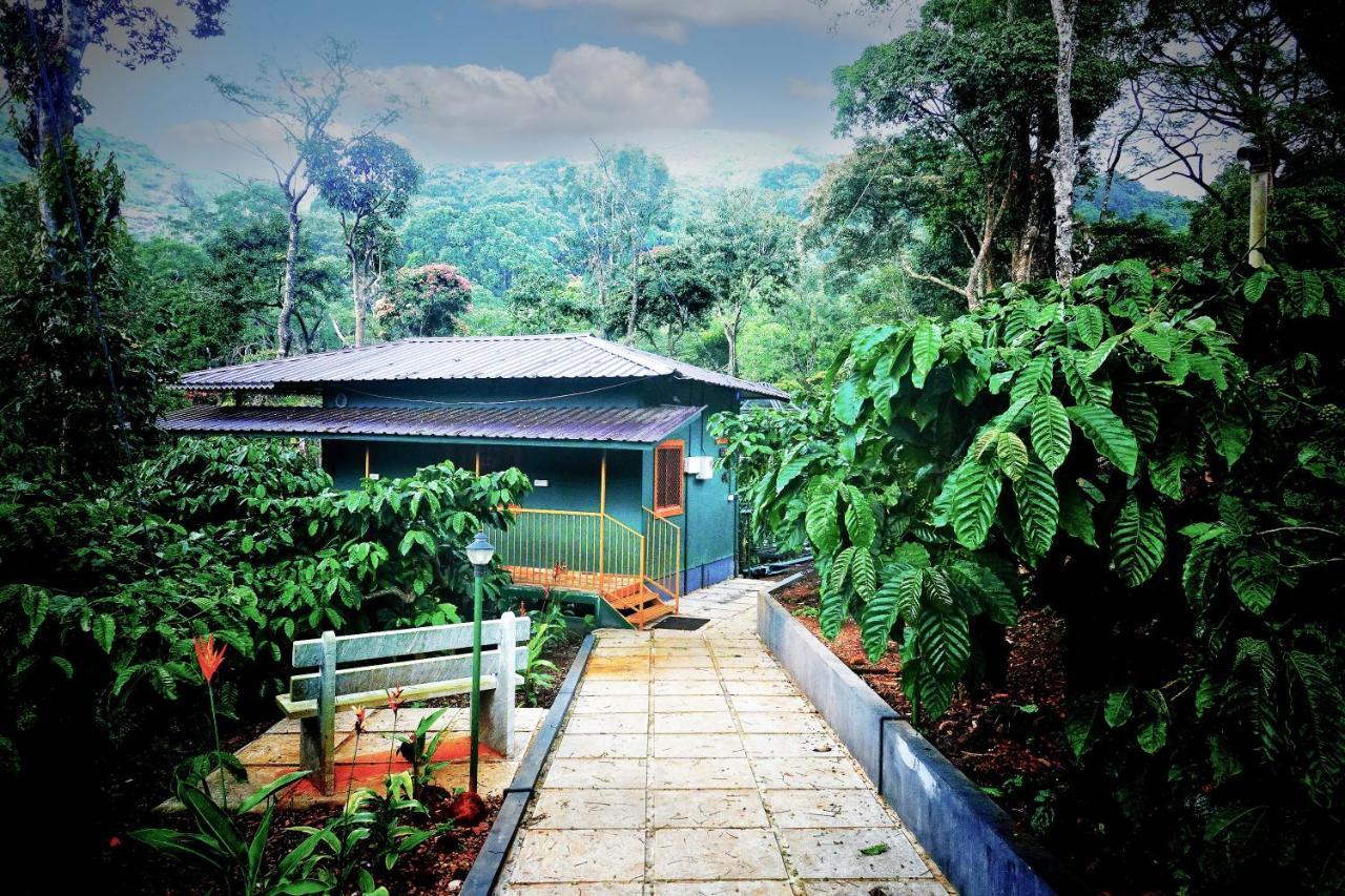 Hill Valley Farm House Nelliyampathy 外观 照片