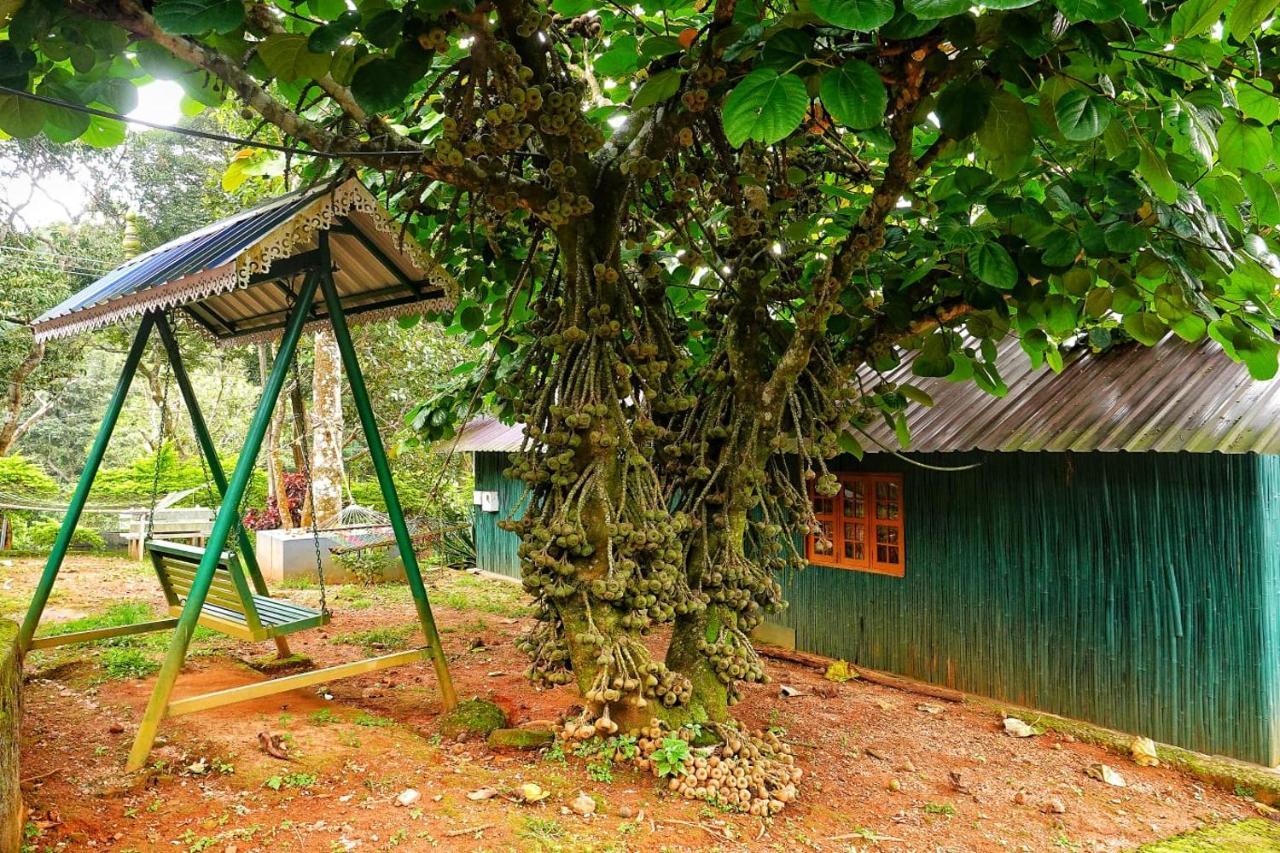 Hill Valley Farm House Nelliyampathy 外观 照片