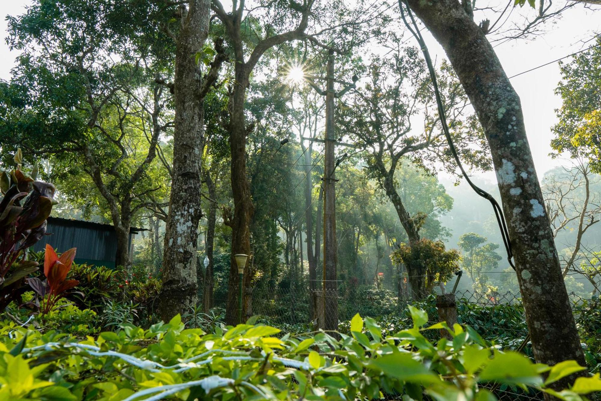 Hill Valley Farm House Nelliyampathy 外观 照片