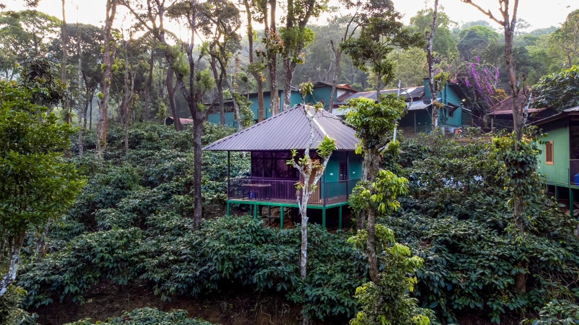 Hill Valley Farm House Nelliyampathy 外观 照片