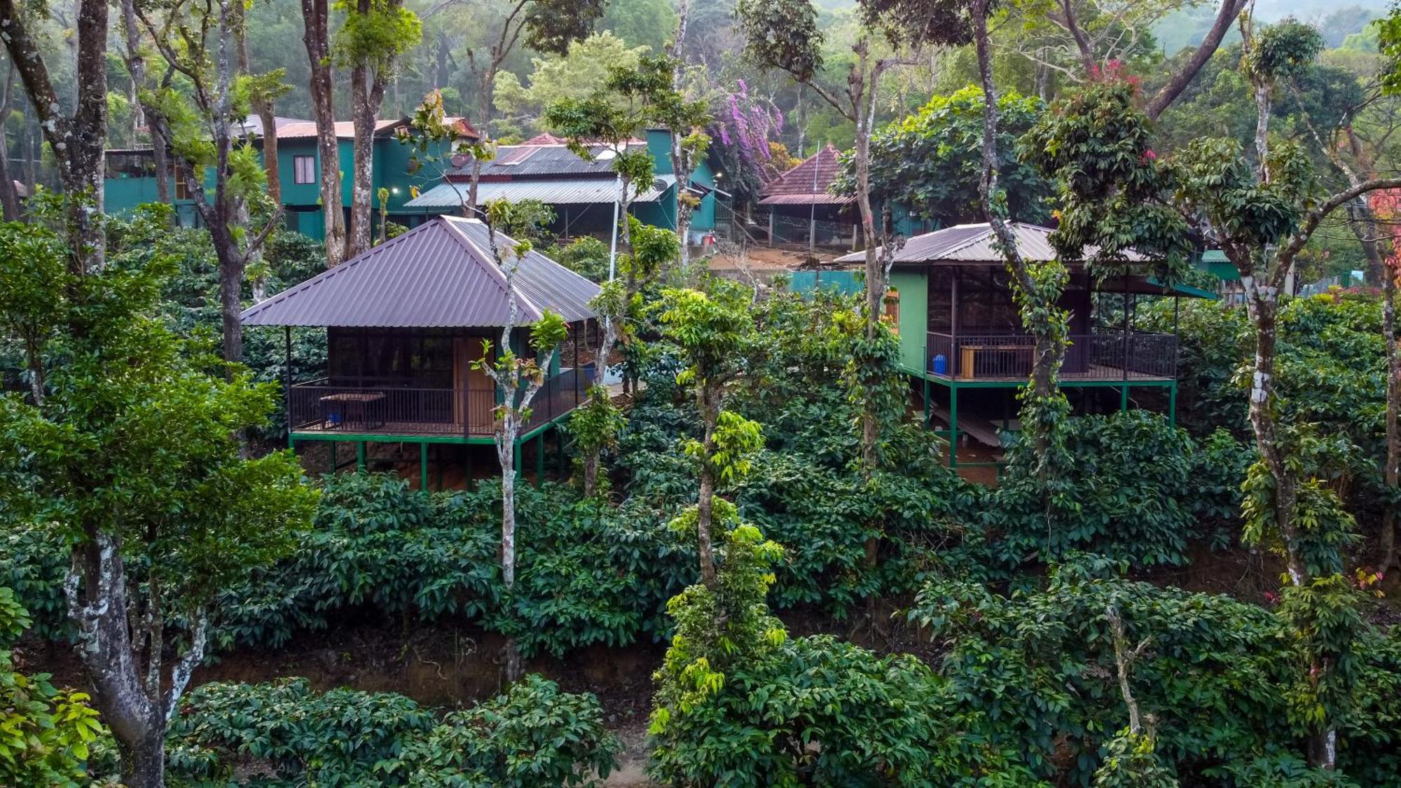 Hill Valley Farm House Nelliyampathy 外观 照片